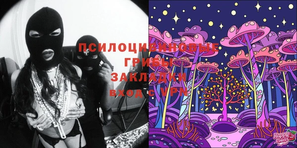 амф Белокуриха