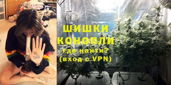 дживик Белоозёрский