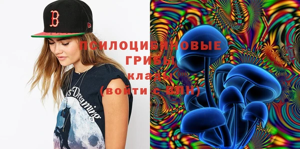 дживик Белоозёрский