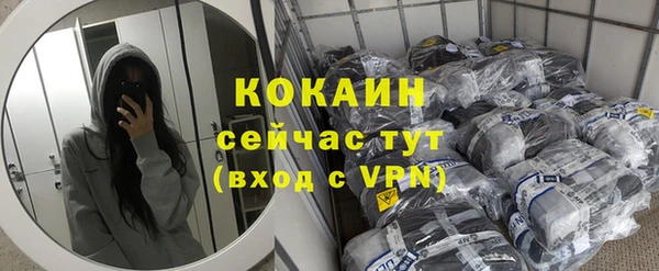 дживик Белоозёрский