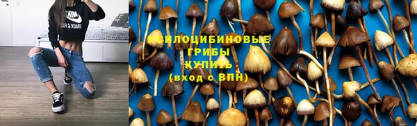 дживик Белоозёрский