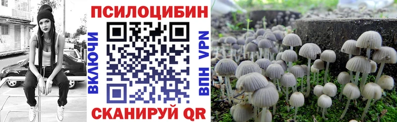 наркота  гидра как войти  Псилоцибиновые грибы Psilocybe  Буйнакск 
